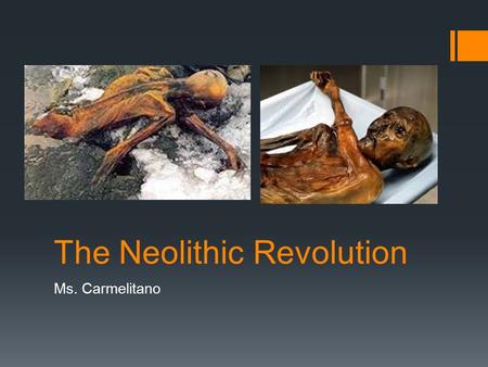 The Neolithic Revolution Ms. Carmelitano. The Neolithic Revolution  The “New Stone Age”  The Agricultural Revolution  The shift from “food gathering”