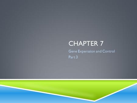 CHAPTER 7 Gene Experssion and Control Part 3. MUTATED GENES AND THEIR PRODUCTS  Mutations are changes in the sequence of a cell’s DNA.  If a mutation.