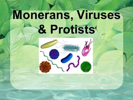 Monerans, Viruses & Protists. Compare and contrast the parts of plants, animals and one-celled organisms Identify similarities and differences among living.
