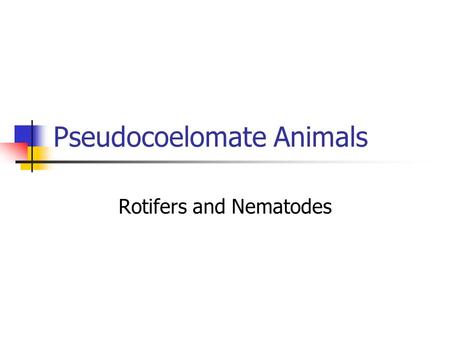 Pseudocoelomate Animals