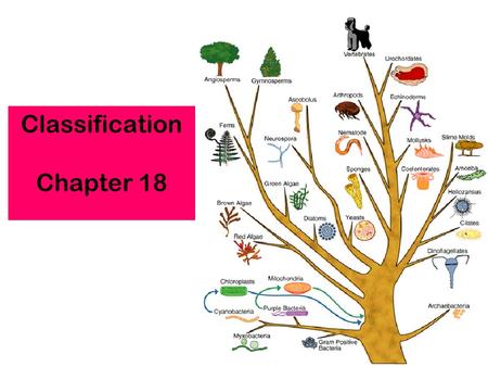 Classification Chapter 18