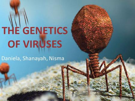 THE GENETICS OF VIRUSES Daniela, Shanayah, Nisma.