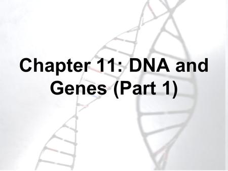 Chapter 11: DNA and Genes (Part 1). 1. Although the environment influences how an organism develops, the genetic information that is held in the molecules.