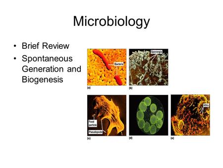 Microbiology Brief Review Spontaneous Generation and Biogenesis.