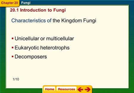 Characteristics of the Kingdom Fungi
