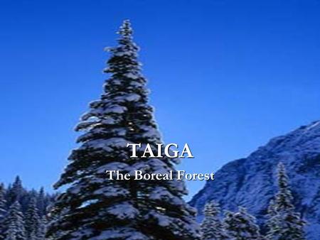 TAIGA The Boreal Forest