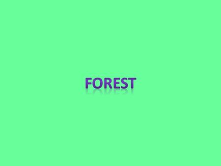 Forests have trees. There are squirrels living in the trees. Squirrels and deer eat plants. There are animals in the forest that eat meat. Forest bottoms.