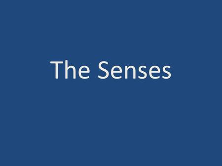 The Senses. Sensory Receptors Sensory receptors = neurons that react directly to stimuli from the environment. – Light, sound, motion, chemicals, pressure.