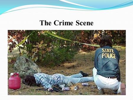 The Crime Scene.