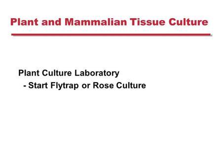 Plant and Mammalian Tissue Culture Plant Culture Laboratory - Start Flytrap or Rose Culture.