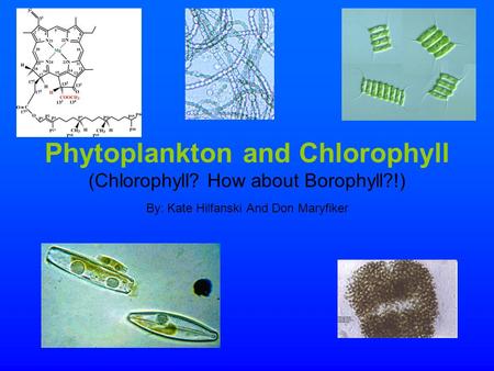 Phytoplankton and Chlorophyll (Chlorophyll? How about Borophyll?!) By: Kate Hilfanski And Don Maryfiker.