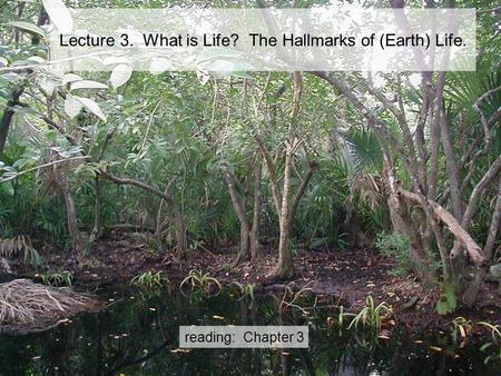 Lecture 3. What is Life? The Hallmarks of (Earth) Life. reading: Chapter 3.