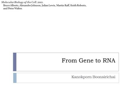 From Gene to RNA Kanokporn Boonsirichai Molecular Biology of the Cell. 2002. Bruce Alberts, Alexander Johnson, Julian Lewis, Martin Raff, Keith Roberts,