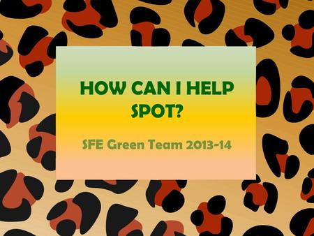 HOW CAN I HELP SPOT? SFE Green Team 2013-14. Sol Feinstone Elementary School has adopted an Amur Leopard from the Philadelphia Zoo. We named our big cat.