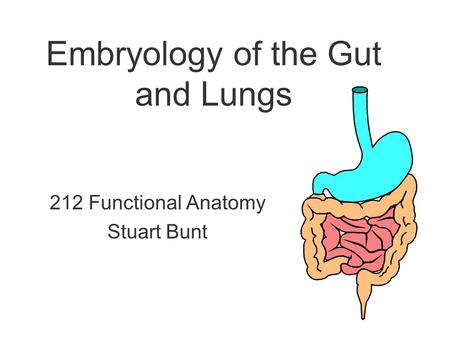 Embryology of the Gut and Lungs