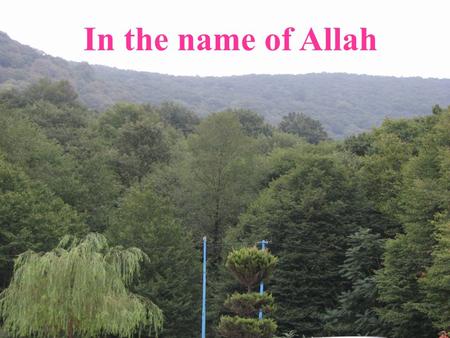 In the name of Allah.