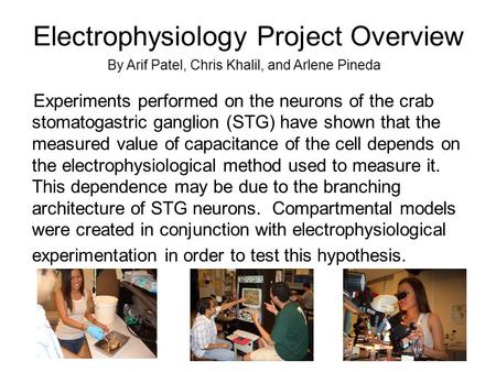 Electrophysiology Project Overview Experiments performed on the neurons of the crab stomatogastric ganglion (STG) have shown that the measured value of.