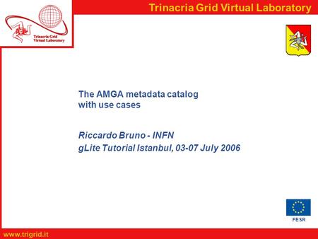 FESR www.trigrid.it Trinacria Grid Virtual Laboratory The AMGA metadata catalog with use cases Riccardo Bruno - INFN gLite Tutorial Istanbul, 03-07 July.