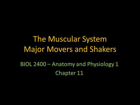 The Muscular System Major Movers and Shakers
