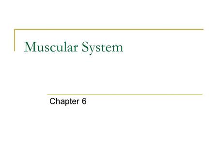 Muscular System Chapter 6. Muscle Types Skeletal muscles – attach to the body’s skeleton Cardiac – heart Smooth – walls of hollow organs such as the stomach,