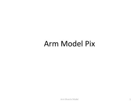 Arm Model Pix Arm Muscle Model.