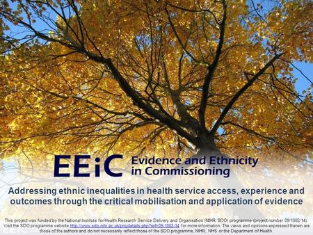 Addressing ethnic inequalities in health service access, experience and outcomes through the critical mobilisation and application of evidence This project.