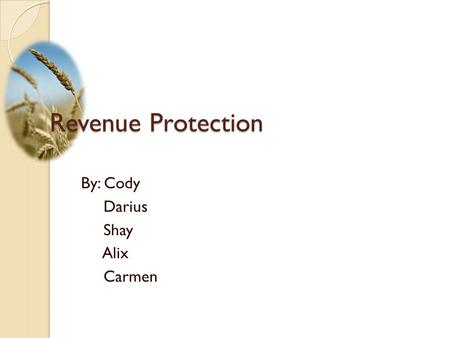 By: Cody Darius Shay Alix Carmen Revenue Protection.