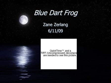 Blue Dart Frog Zane Zerlang 6/11/09 Zane Zerlang 6/11/09.