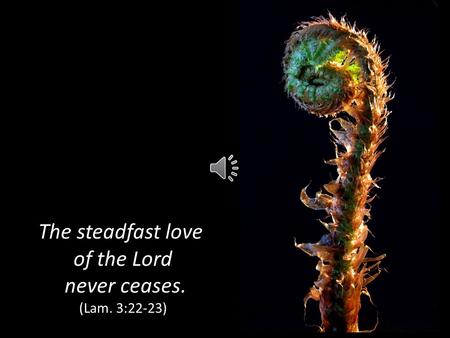 The steadfast love of the Lord never ceases. (Lam. 3:22-23)