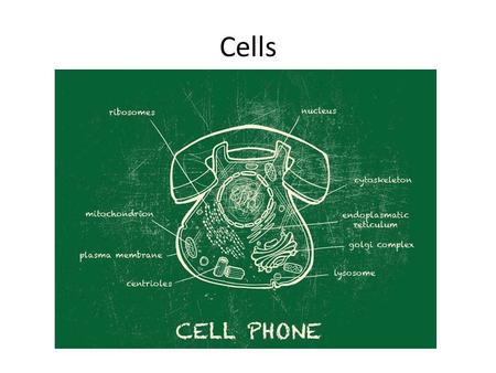 Cells. By the end of this class you should understand: The three major parts of all cells The primary structures found in prokaryotic and eukaryotic cells.