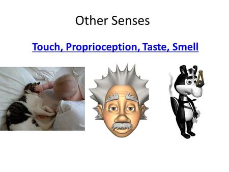 Other Senses Touch, Proprioception, Taste, Smell.