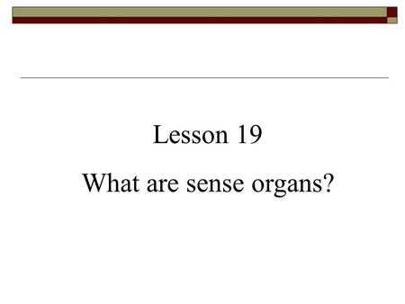Lesson 19 What are sense organs?.