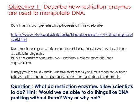 Objective 1 - Describe how restriction enzymes are used to manipulate DNA. Run the virtual gel electrophoresis at this web site
