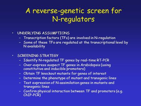 A reverse-genetic screen for N-regulators UNDERLYING ASSUMPTIONS –Transcription factors (TFs) are involved in N-regulation –Some of these TFs are regulated.
