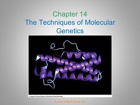 Chapter 14 The Techniques of Molecular Genetics
