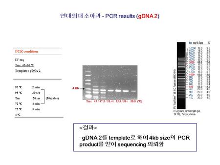 PCR condition EF taq Tm : 45~60 ℃ Template : gDNA 2 95 ℃ 2 min 95 ℃ 30 sec Tm 20 sec (30cycles) 72 ℃ 4 min 72 ℃ 5 min 4 ℃ 연대의대 소아과 - PCR results (gDNA.