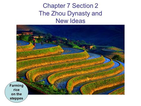 Chapter 7 Section 2 The Zhou Dynasty and New Ideas Farming rice on the steppes.