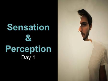 Sensation & Perception Day 1. Scientific Names for the Seven Senses (You Should Know These) Seeing:Visual Hearing:Auditory Tasting:Gustatory Smelling:Olfactory.