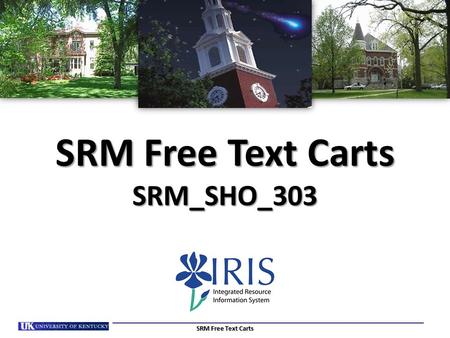 SRM Free Text Carts SRM_SHO_303 SRM Free Text Carts.