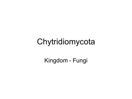 Chytridiomycota Kingdom - Fungi.