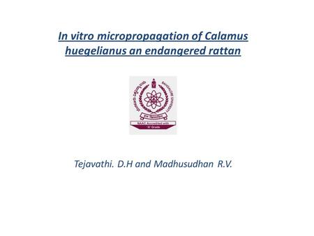In vitro micropropagation of Calamus huegelianus an endangered rattan Tejavathi. D.H and Madhusudhan R.V.