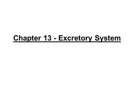 Chapter 13 - Excretory System
