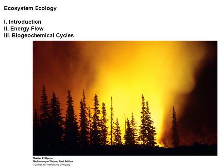 Ecosystem Ecology I. Introduction II. Energy Flow III. Biogeochemical Cycles.