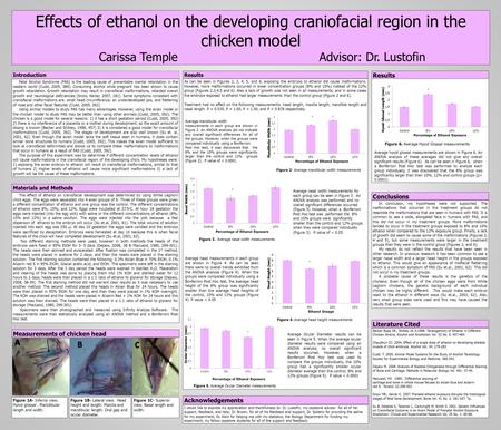 Effects of ethanol on the developing craniofacial region in the chicken model Carissa Temple Advisor: Dr. Lustofin Fetal Alcohol Syndrome (FAS) is the.