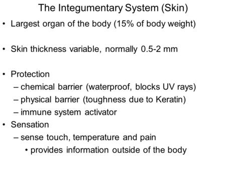 The Integumentary System (Skin) Largest organ of the body (15% of body weight) Skin thickness variable, normally 0.5-2 mm Protection –chemical barrier.
