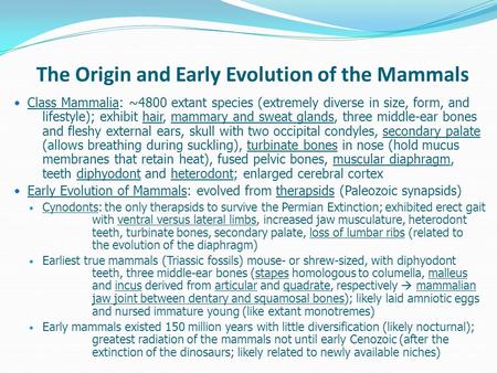 The Origin and Early Evolution of the Mammals