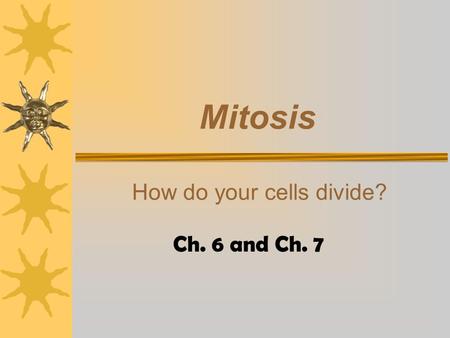 Mitosis How do your cells divide? Ch. 6 and Ch. 7.