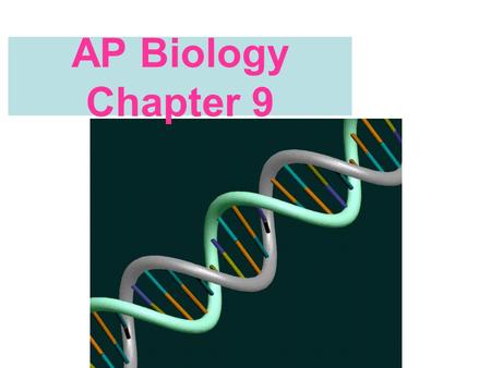 AP Biology Chapter 9. Griffith 1928 Proved transformation of bacteria into a mouse Had two strains of bacteria –An avirulent or nonlethal strain (R) –A.