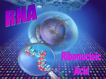 Function of RNA Since DNA cannot leave the nucleus, RNA molecules will convert the written instructions into proteins in the cytoplasm Genes are coded.