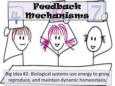 Feedback Mechanisms Big Idea #2: Biological systems use energy to grow, reproduce, and maintain dynamic homeostasis.